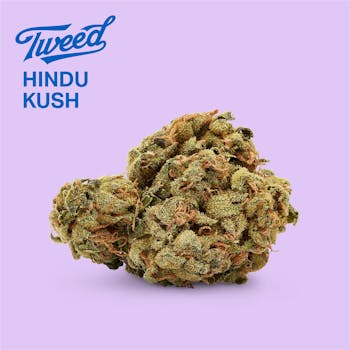 Tweed - Bakerstreet (Hindu kush) Indica